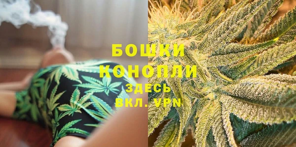 дживик Бронницы