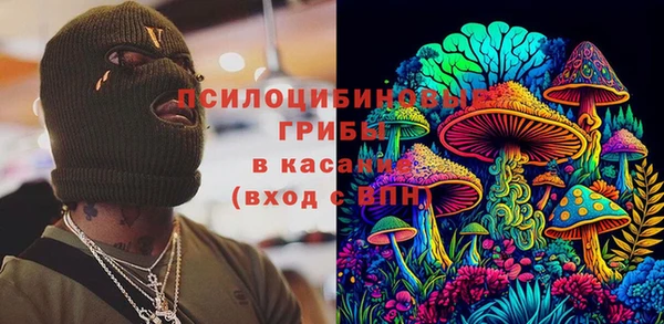 PSILOCYBIN Зерноград