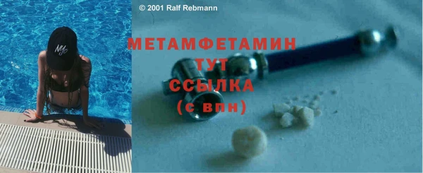 индика Бородино