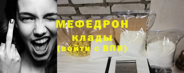 индика Бородино
