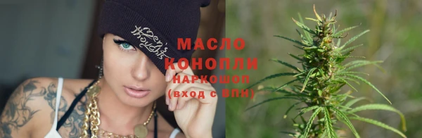 дживик Бронницы