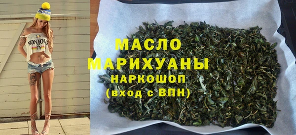 индика Бородино