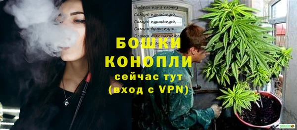 дмт Семилуки