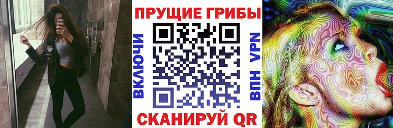 Галлюциногенные грибы GOLDEN TEACHER  Бузулук 